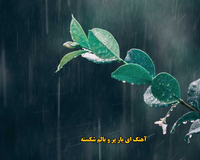 دانلود آهنگ ای یار پر و بالم شکسته solba هوش مصنوعی صدای زن دانلود آهنگ ای یار پر و بالم شکسته solba هوش مصنوعی صدای زن