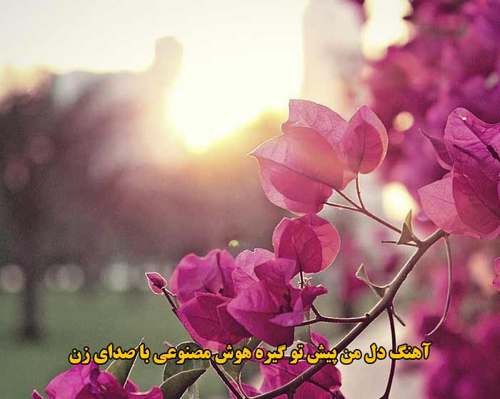 دانلود آهنگ دل من پیش تو گیره هوش مصنوعی با صدای زن دانلود آهنگ دل من پیش تو گیره هوش مصنوعی با صدای زن