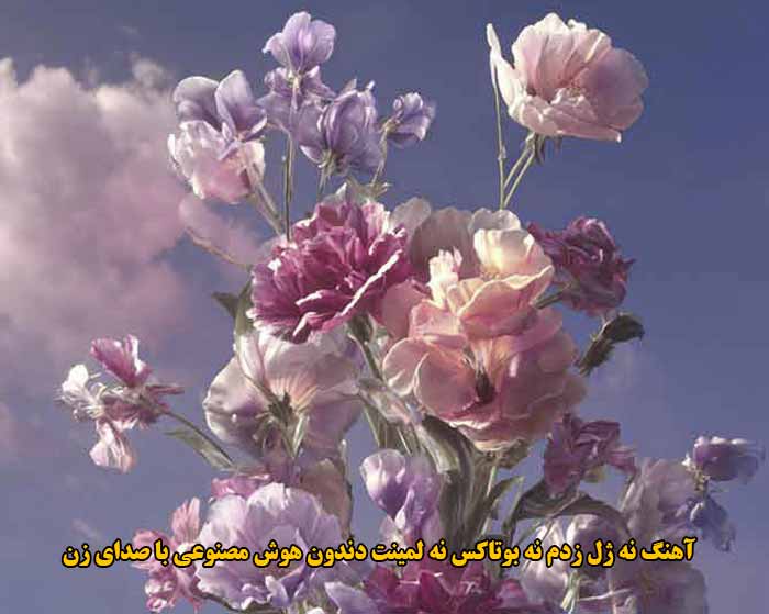 دانلود آهنگ نه ژل زدم نه بوتاکس نه لمینت دندون هوش مصنوعی با صدای زن