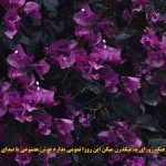 دانلود آهنگ روزای بد میگذرن هوش مصنوعی با صدای زن