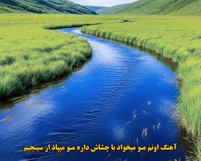 دانلود آهنگ اونم منو میخواد با چشاش داره منو میپاد سینجیم