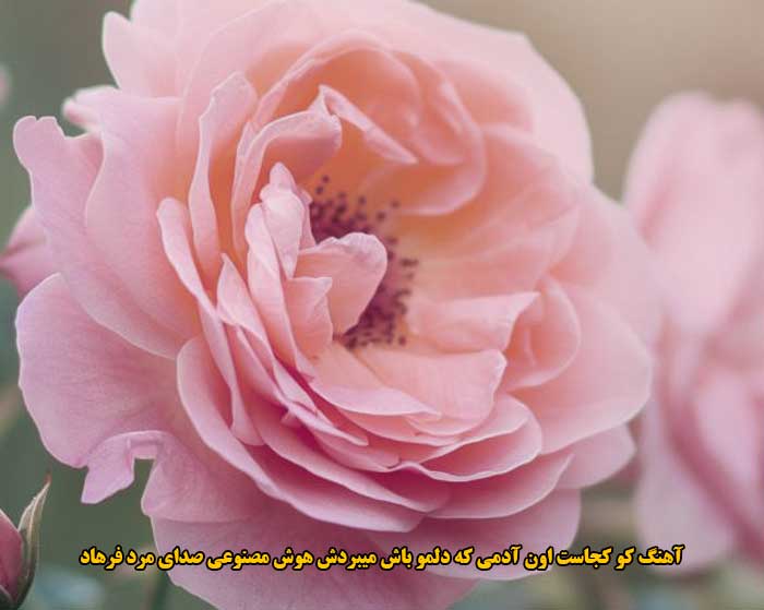 دانلود آهنگ کو کجاست اون آدمی که دلمو باش میبردش هوش مصنوعی صدای مرد فرهاد