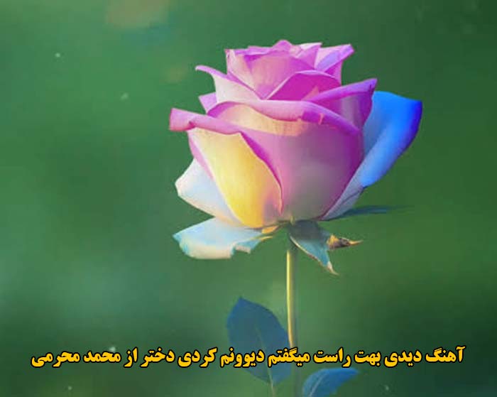 دانلود آهنگ دیدی بهت راست میگفتم دیوونم کردی دختر محمد محرمی دانلود آهنگ دیدی بهت راست میگفتم دیوونم کردی دختر محمد محرمی