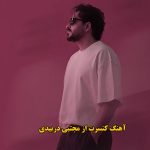 دانلود آهنگ کنسرت مجتبی دربیدی