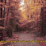 دانلود آهنگ گریه نکن دل من فصل خزون میگذره هوش مصنوعی صدای زن نگین افروز
