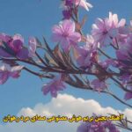 دانلود آهنگ بچین بریم یه جاده شمالو عشقم هوش مصنوعی صدای مرد رهوان اینستا
