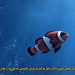دانلود آهنگ هیچی معنی نداشت قبل تو قبل تو هوش مصنوعی صدای مرد رهوان دانلود آهنگ هیچی معنی نداشت قبل تو قبل تو هوش مصنوعی صدای مرد رهوان