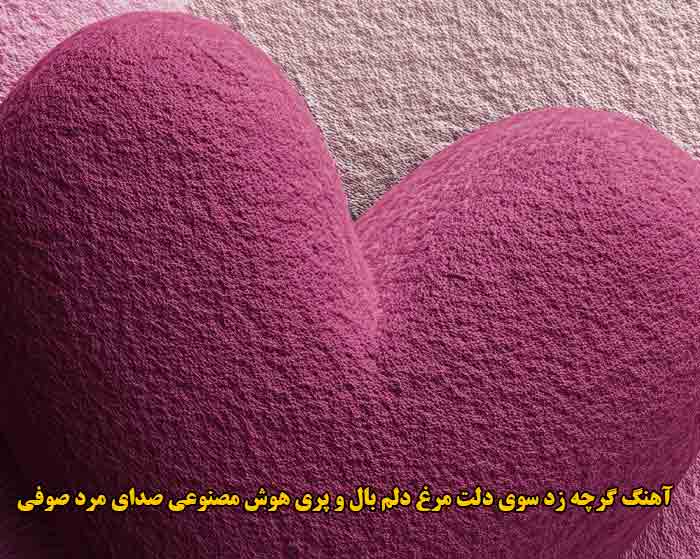 دانلود آهنگ گرچه زد سوی دلت مرغ دلم بال و پری هوش مصنوعی صدای مرد صوفی دانلود آهنگ گرچه زد سوی دلت مرغ دلم بال و پری هوش مصنوعی صدای مرد صوفی